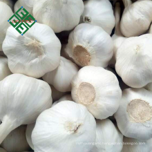 2018 new crop fresh natural garlic 3p / 4p /5p/ pure white garlic